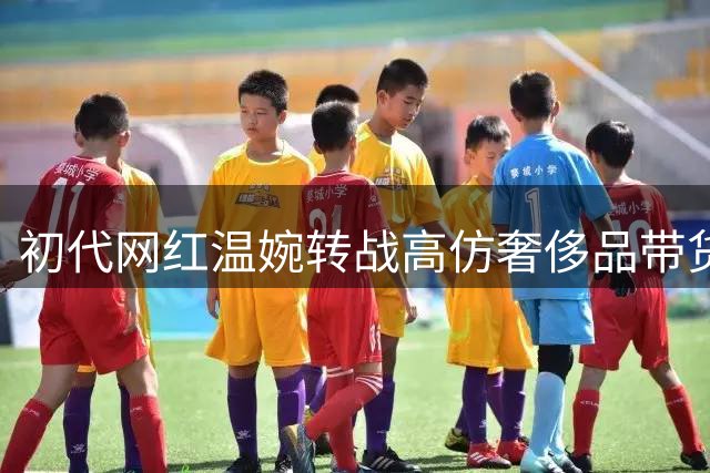 初代网红温婉转战高仿奢侈品带货 偷税被罚后仍活跃