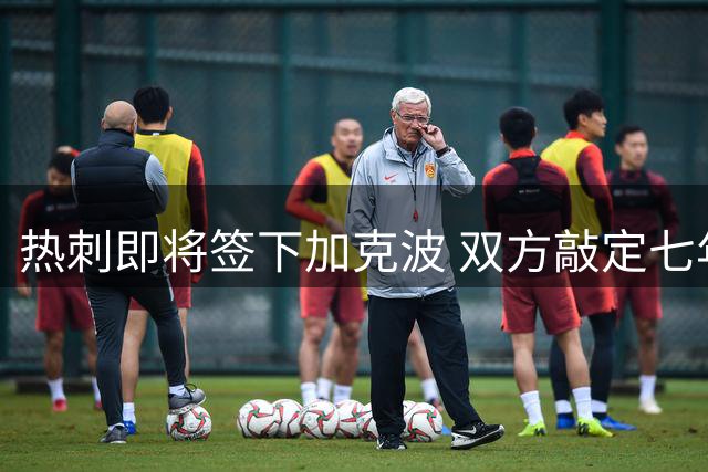 热刺即将签下加克波 双方敲定七年长约