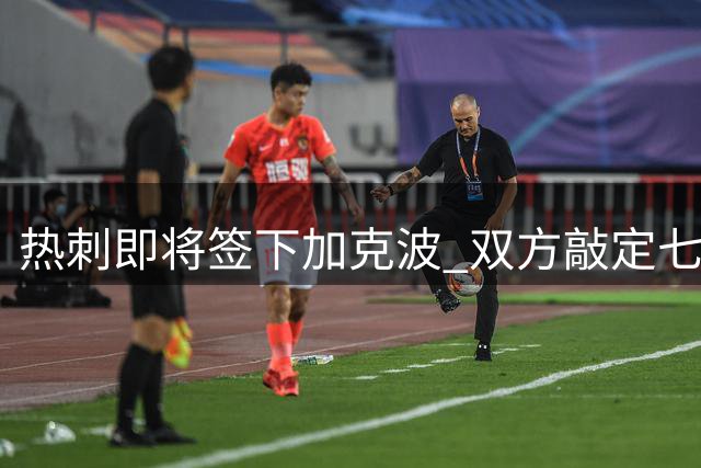 热刺即将签下加克波 双方敲定七年长约